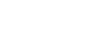 3003新葡的京集团佳味LOGO 320x160-2.png